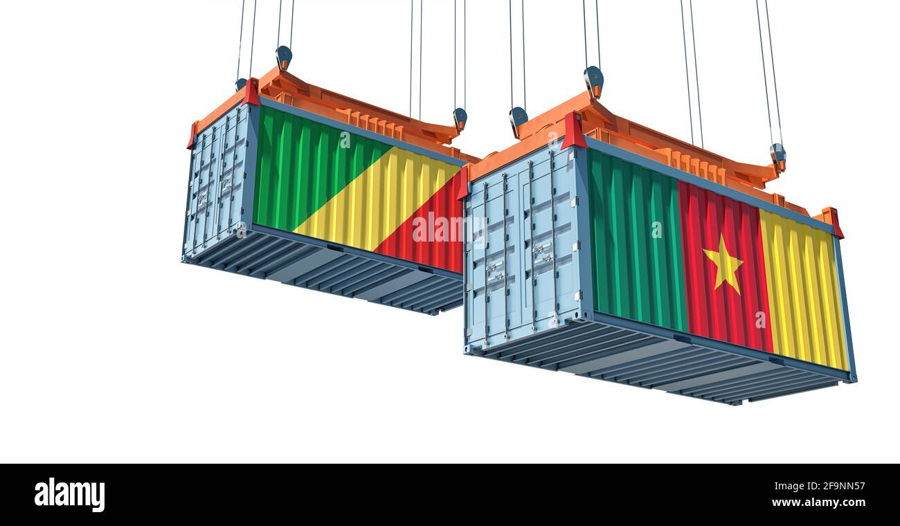 Frachtcontainer mit Nationalflaggen der Republik Kongo und Kamerun. 3D-Rendering Stockfoto