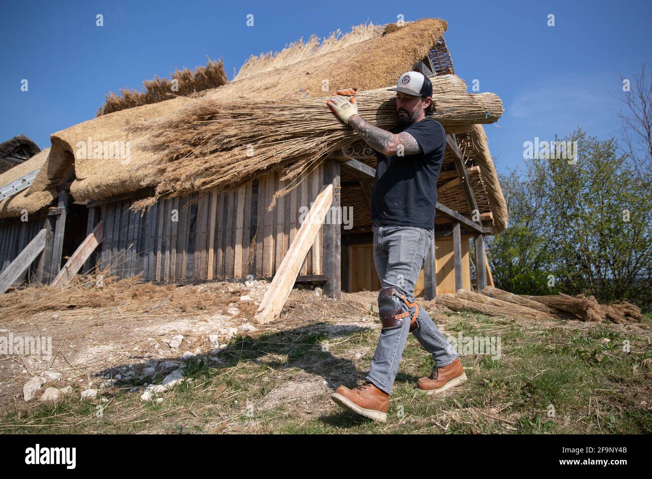 Meister Thatcher Lyle Morgans arbeitet auf dem Dach einer neuen sächsischen Halle auf der Butser Ancient Farm in Hampshire. Es basiert auf einem angelsächsischen Hallhaus aus dem 7. Jahrhundert, das in der Nähe des nahegelegenen Dorfes Chalton gefunden wurde und wird mit traditionellen Holzrahmen- und Strohtechniken unter Verwendung von 3.5 Tonnen Schilfstroh auf dem Dach gebaut. Bilddatum: Dienstag, 20. April 2021. Stockfoto