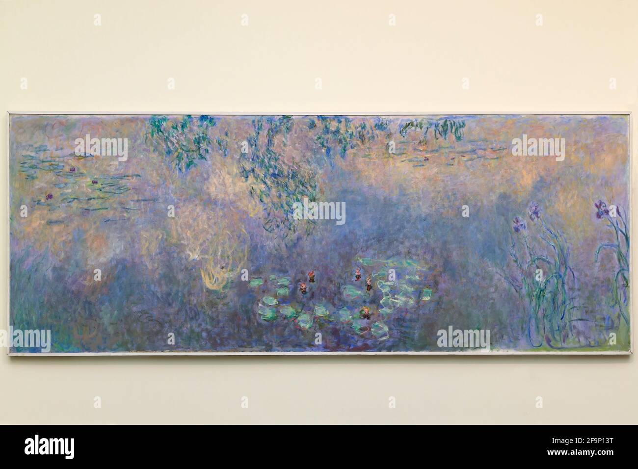 Der Seerosenteich mit Irises, Claude Monet, 1914-1922, Stockfoto