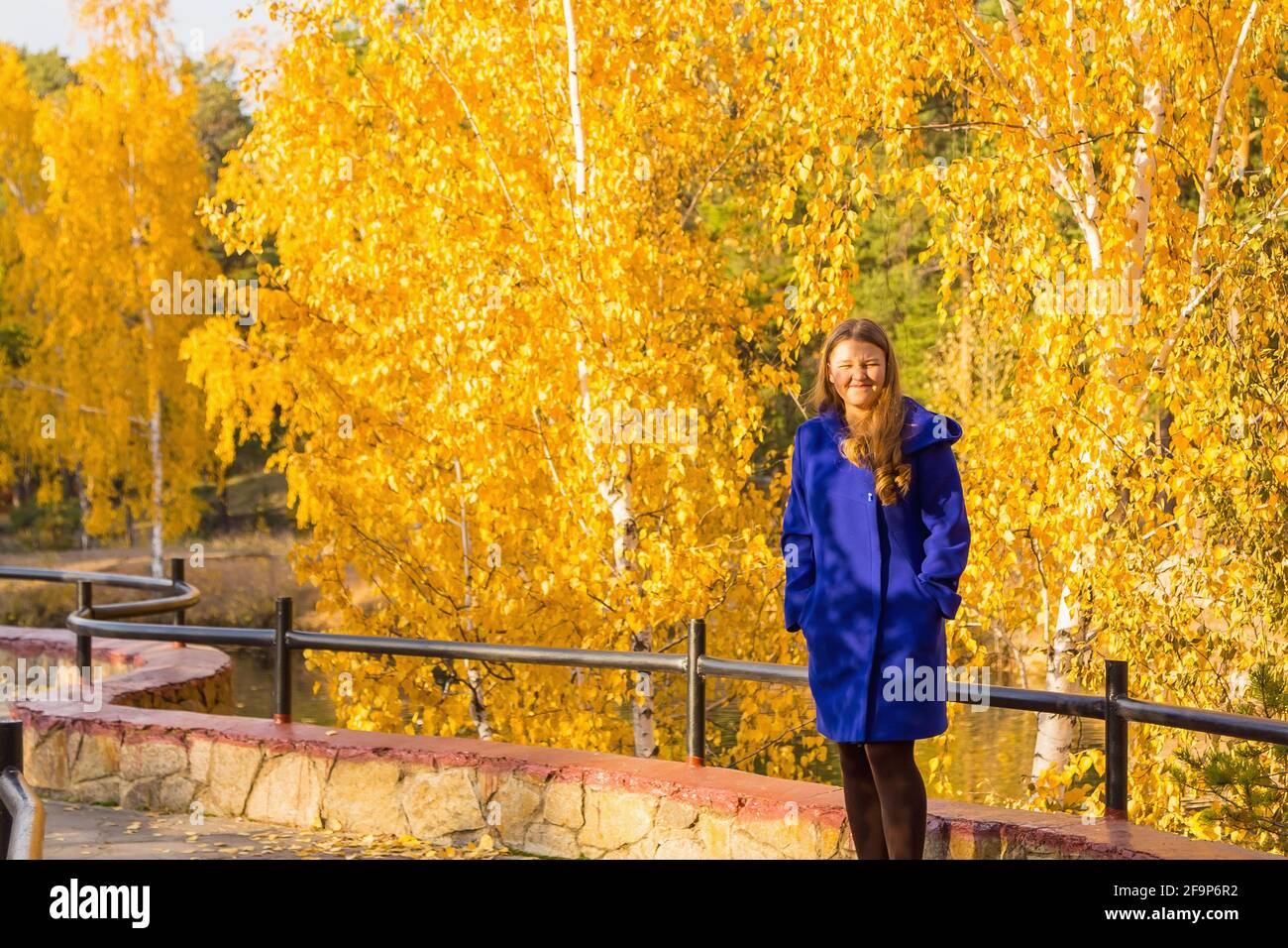 Ein junges Mädchen spaziert im Herbstpark, steht hinter einem Baum. Die Bäume haben gelbe Blätter. Stockfoto