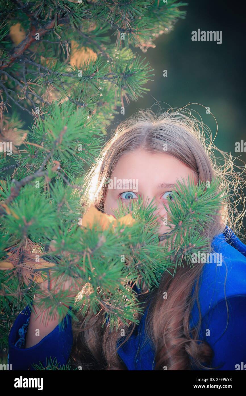 Ein Mädchen mit großen Augen schaut durch einen Zweig eines Weihnachtsbaums im Park. Stockfoto