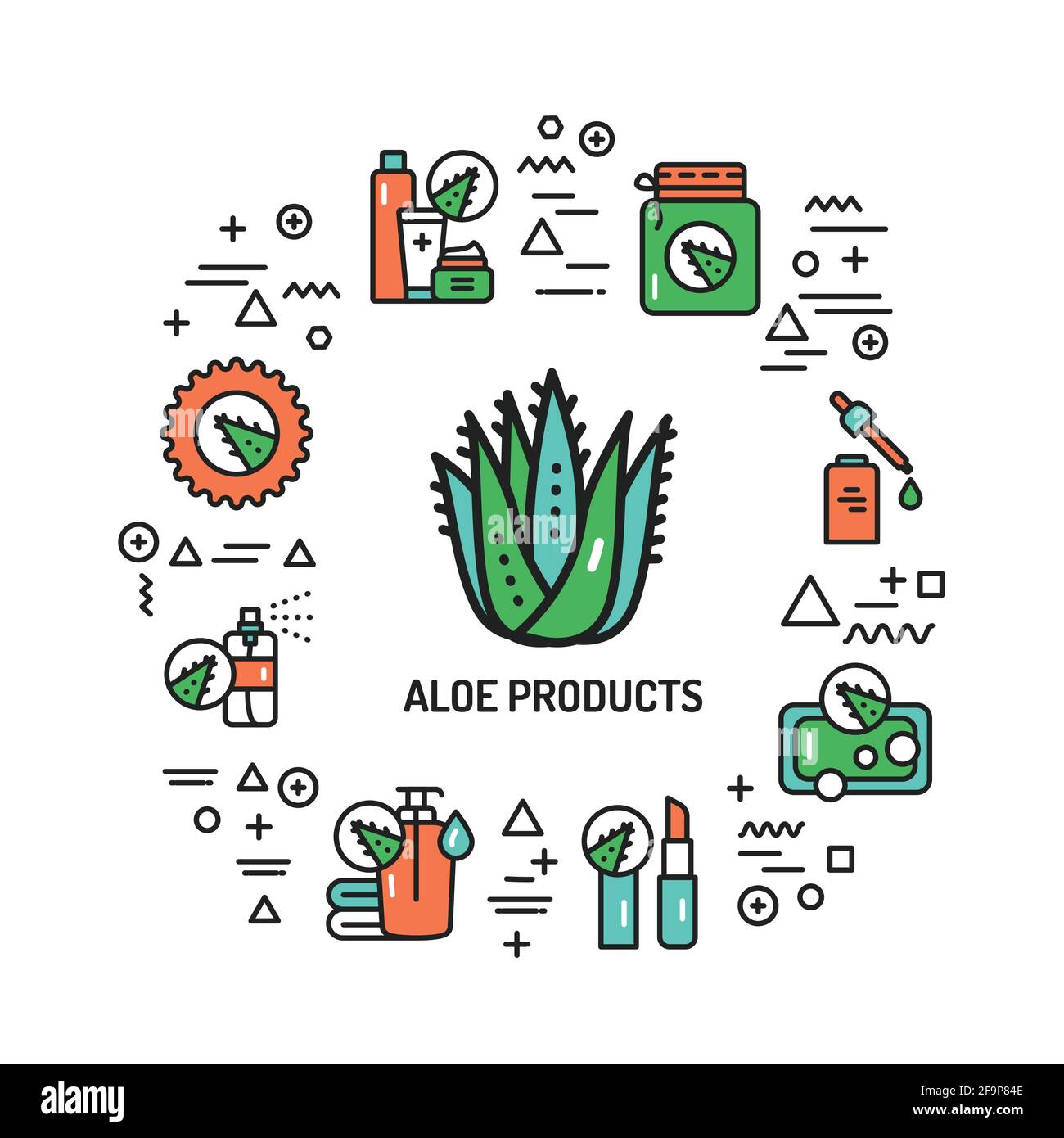 Webbanner der Aloe. Infografiken mit linearen Symbolen auf weißem Hintergrund. Kreatives Ideenkonzept. Isolierte Farbdarstellung der Umrisse. Stock Vektor