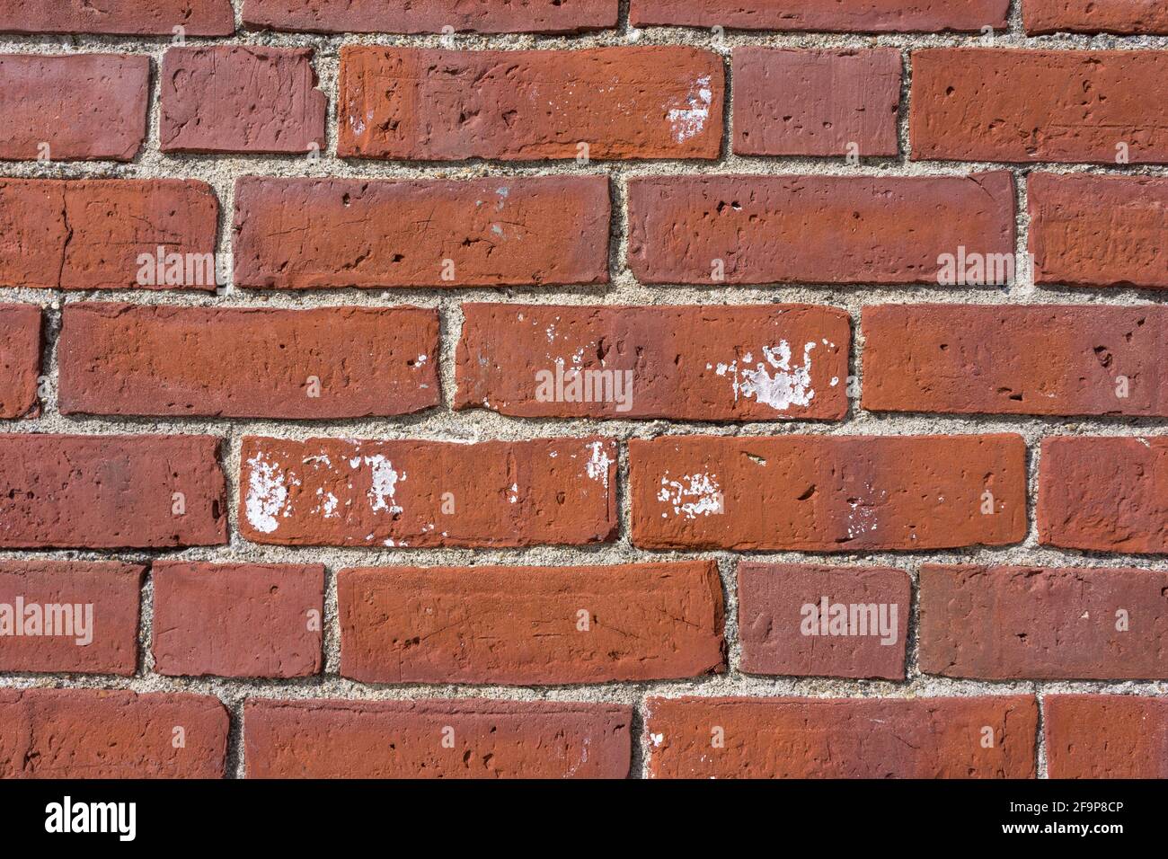 Reihen einer Ziegelwand mit weißer Farbe spritzt im Morgenlicht. Stockfoto