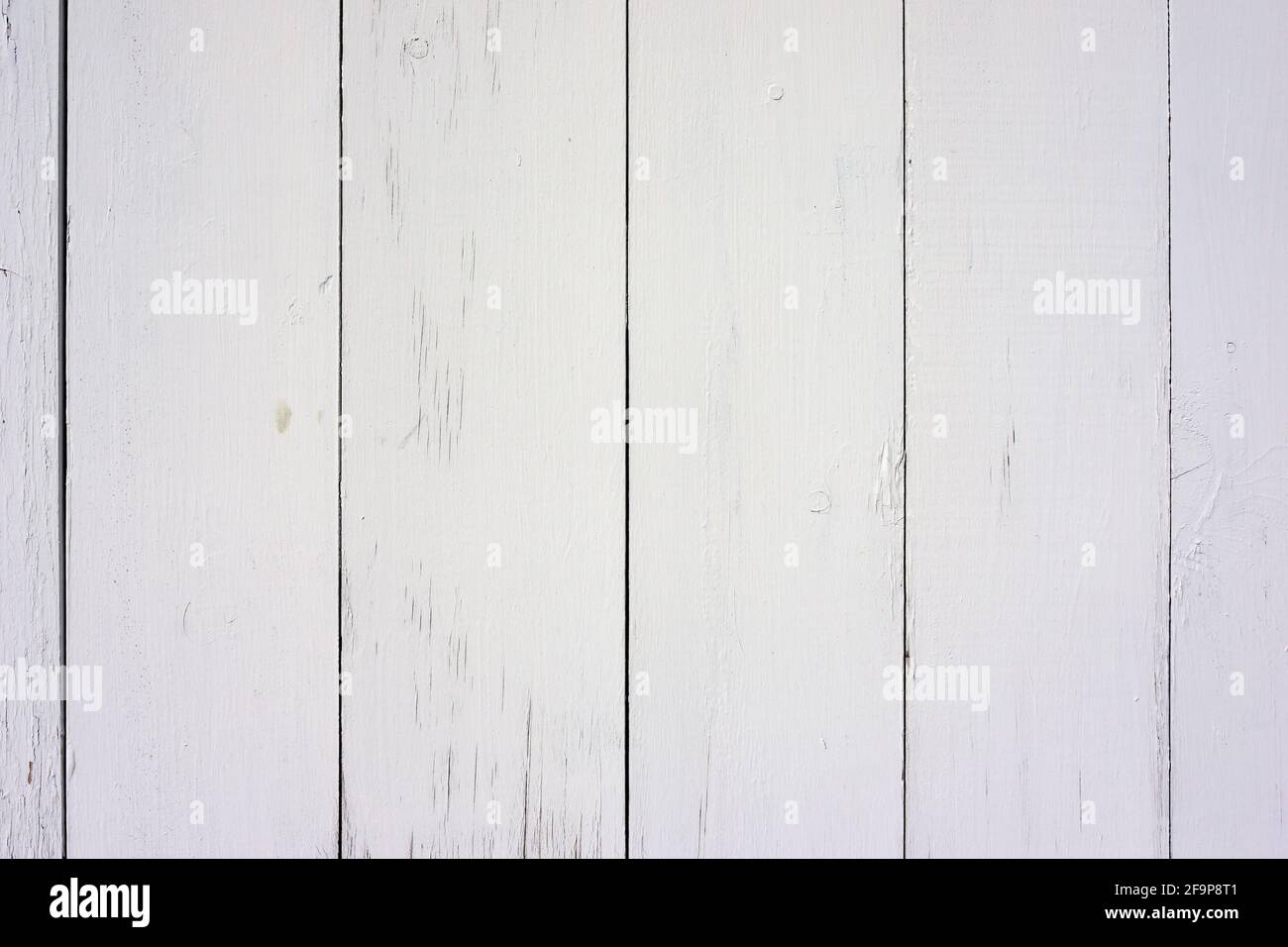 Reihen eines Zauns mit weiß getünchten Kiefernbrettern im Morgenlicht. Stockfoto