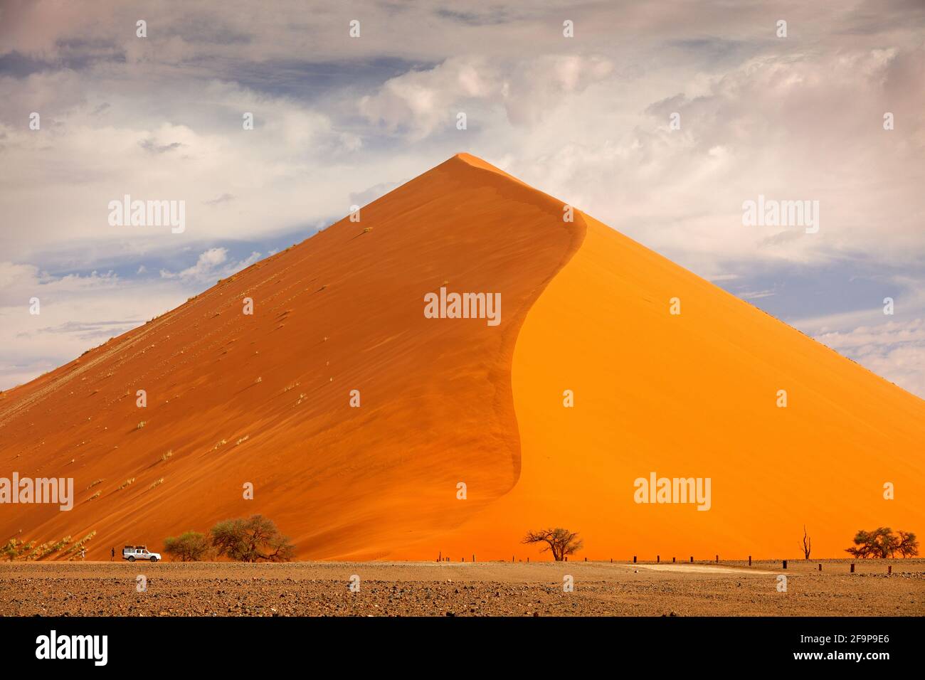 Große orange Düne mit blauem Himmel und Wolken, Sossusvlei, Namib Wüste, Namibia, Südliches Afrika. Roter Sand, größter Dun der Welt. Reisen in Namibia Stockfoto