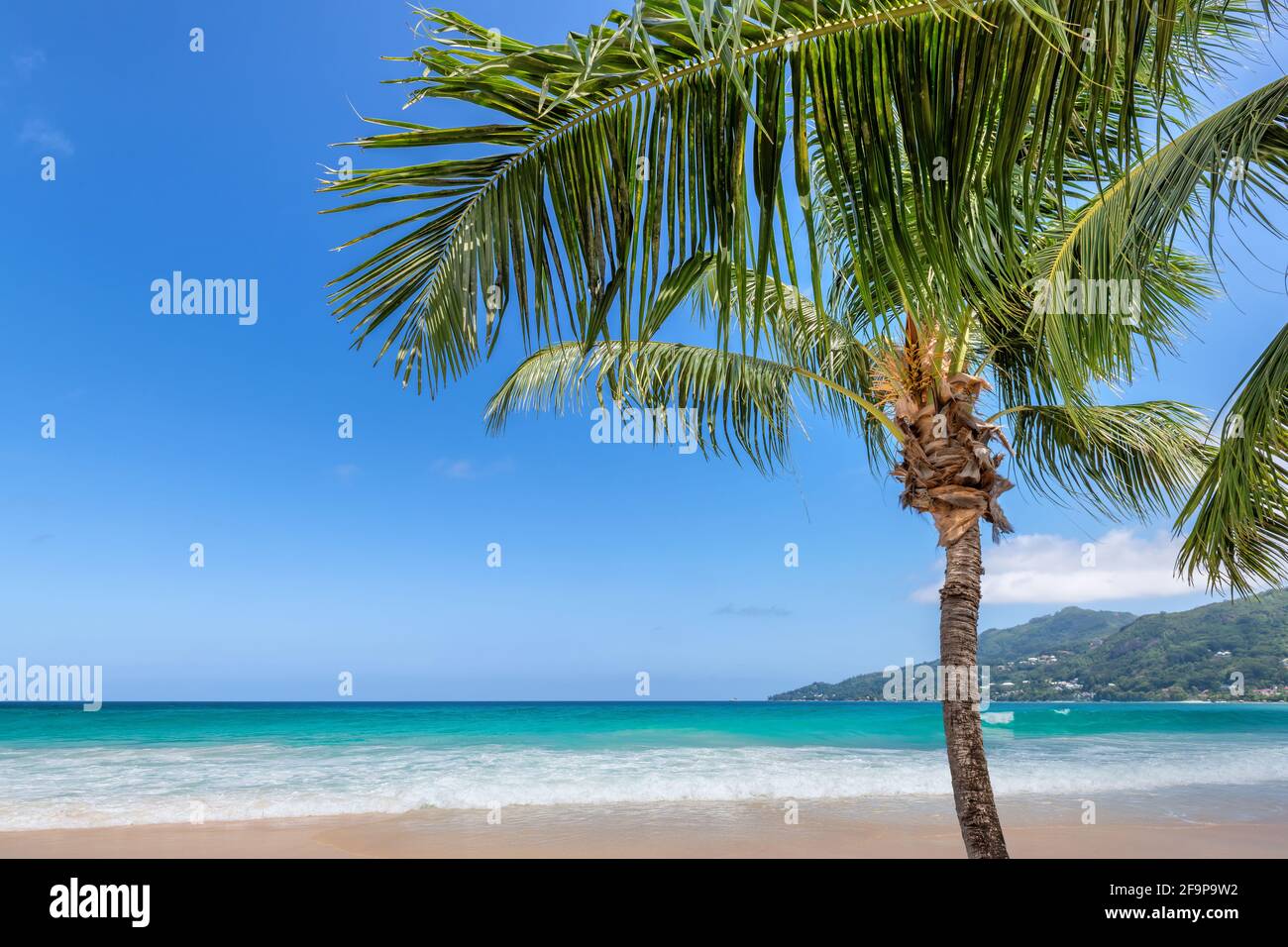 Paradiesischer Strand mit weißem Sand und Kokopalmen. Sommerurlaub und tropisches Strandkonzept. Stockfoto Paradiesischer Strand mit weißem Sand und Kokopalmen. Sommerurlaub und tropisches Strandkonzept. Stockfoto