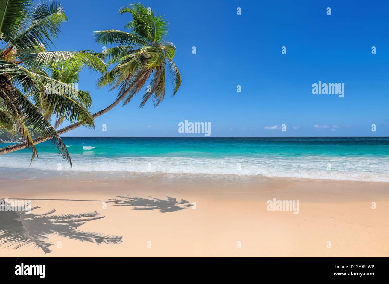 Paradiesischer Strand mit weißem Sand und Kokopalmen. Sommerurlaub und tropisches Strandkonzept. Stockfoto Paradiesischer Strand mit weißem Sand und Kokopalmen. Sommerurlaub und tropisches Strandkonzept. Stockfoto