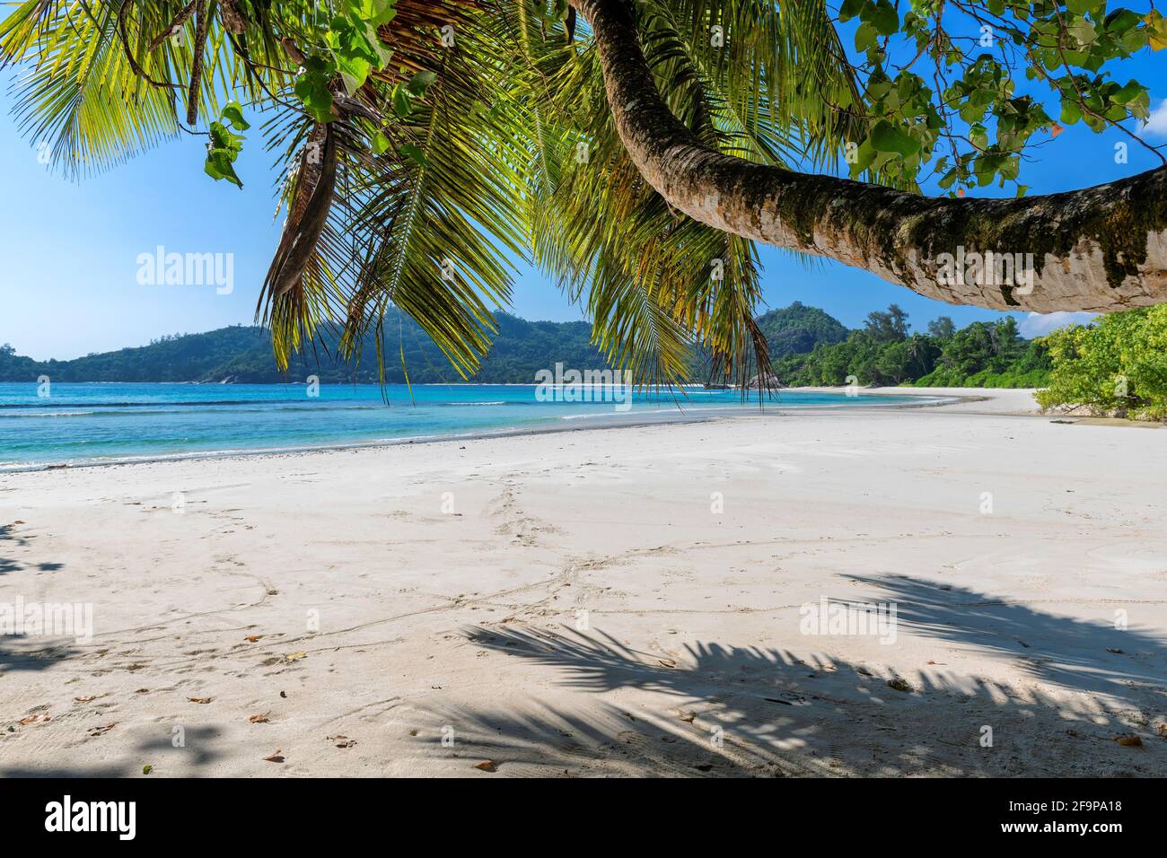 Schatten o0f Palmen in Paradise Strand mit weißem Sand und blauem Meer. Sommerurlaub und tropisches Strandkonzept. Stockfoto Schatten o0f Palmen in Paradise Strand mit weißem Sand und blauem Meer. Sommerurlaub und tropisches Strandkonzept. Stockfoto