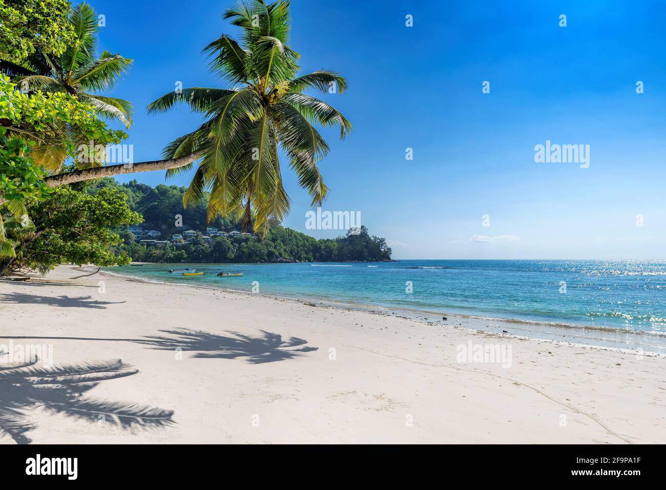 Paradiesischer Strand mit Palmen Schatten im Strandsand und Kokopalmen. Sommerurlaub und tropisches Strandkonzept. Stockfoto