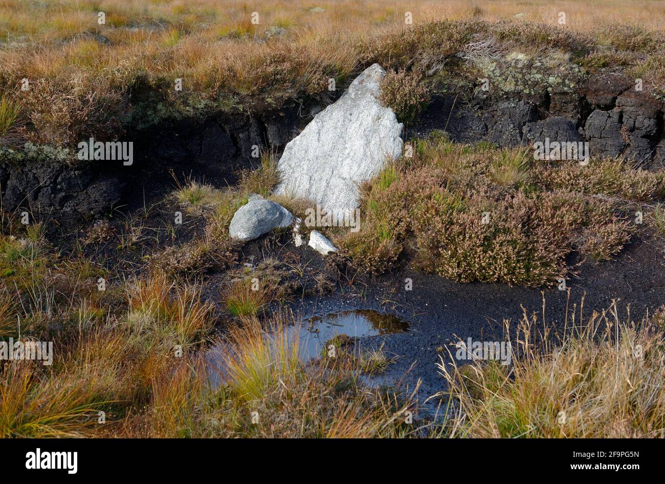 Achmore prähistorischer Steinkreis, Lewis, Äußere Hebriden, Schottland. Nicht ausgegrabener Stein zeigt den Klimawandel Torfansammlungen seit Kreisbau Stockfoto