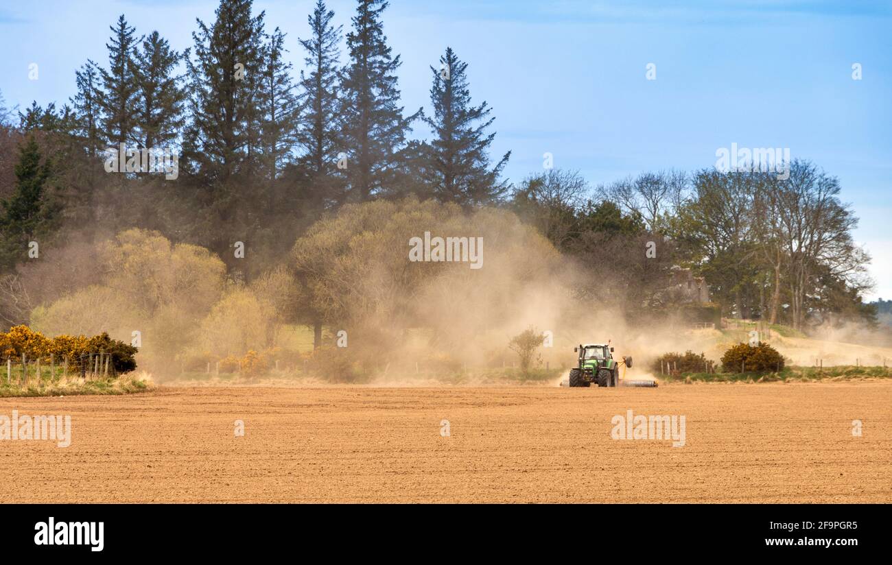 TRAKTOR IM FRÜHJAHR ERSCHÜTTERND EIN TROCKENES FELD UND SEHR ZU SCHAFFEN GROSSE STAUBWOLKEN Stockfoto