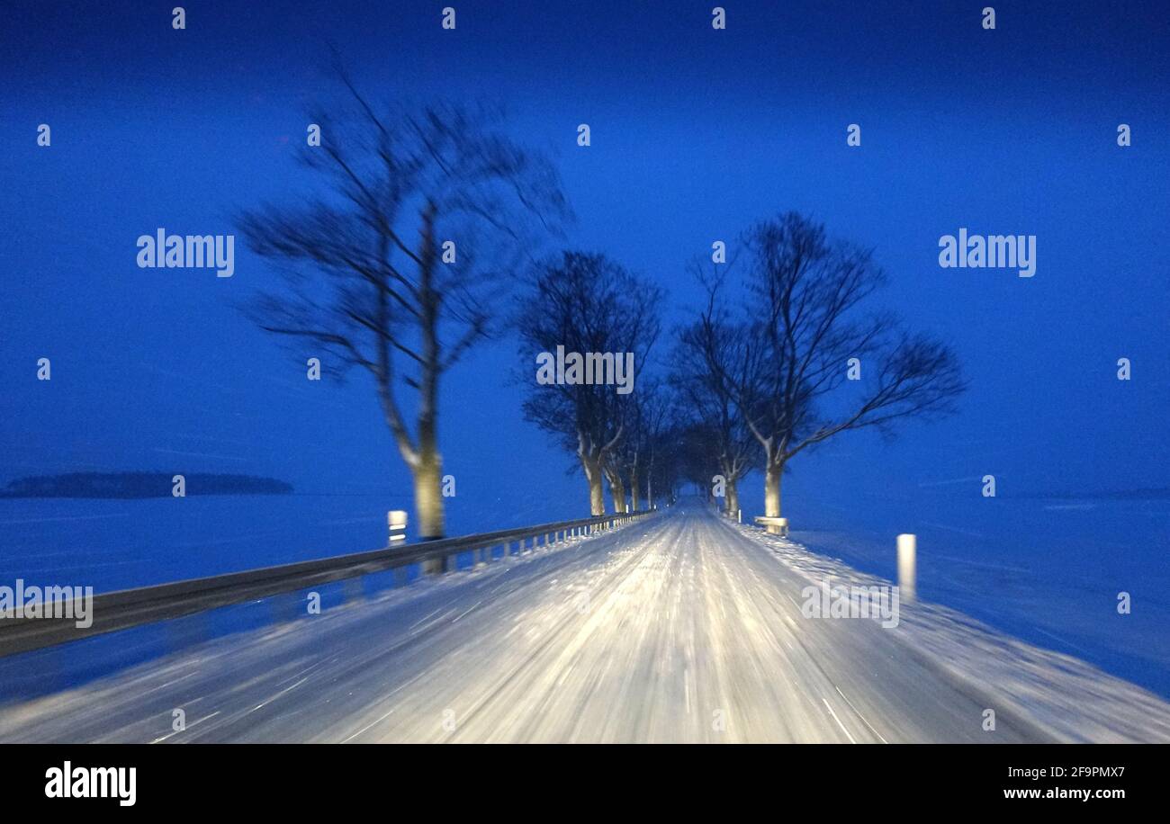 30.01.2021, Jueterbog, Brandenburg, Deutschland - verschneite Landstraße im Morgengrauen. 00S210130D364CAROEX.JPG [MODEL RELEASE: NO, PROPERTY RELEASE: NO (C) Stockfoto