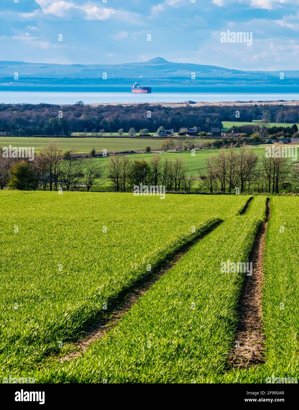 Blick über grünes Erntefeld zum Firth of Forth mit verankertem Frachtschiff, East Lothian, Schottland, Großbritannien Stockfoto