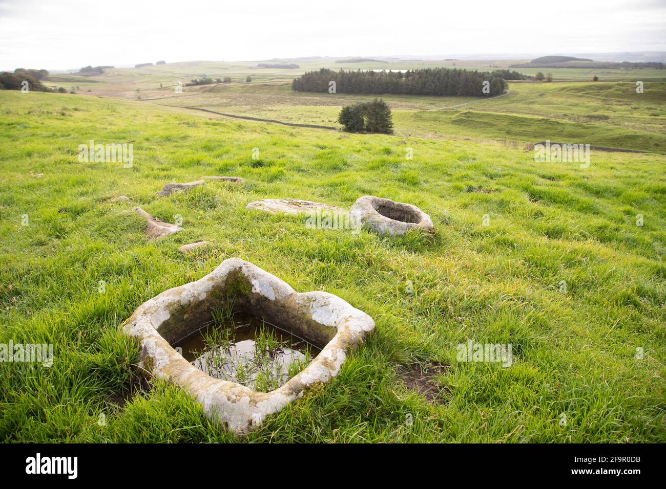 Wasser in Steinen außerhalb des römischen Forts Housesteads in Northumberland, England. Stockfoto
