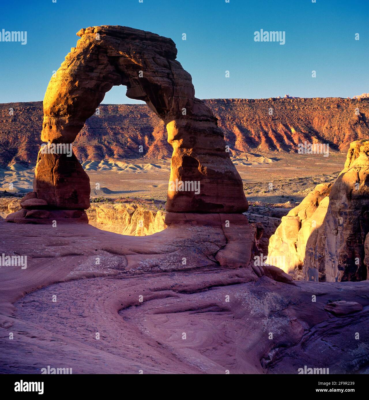 Delicate Arch im Arches National Park Stockfoto