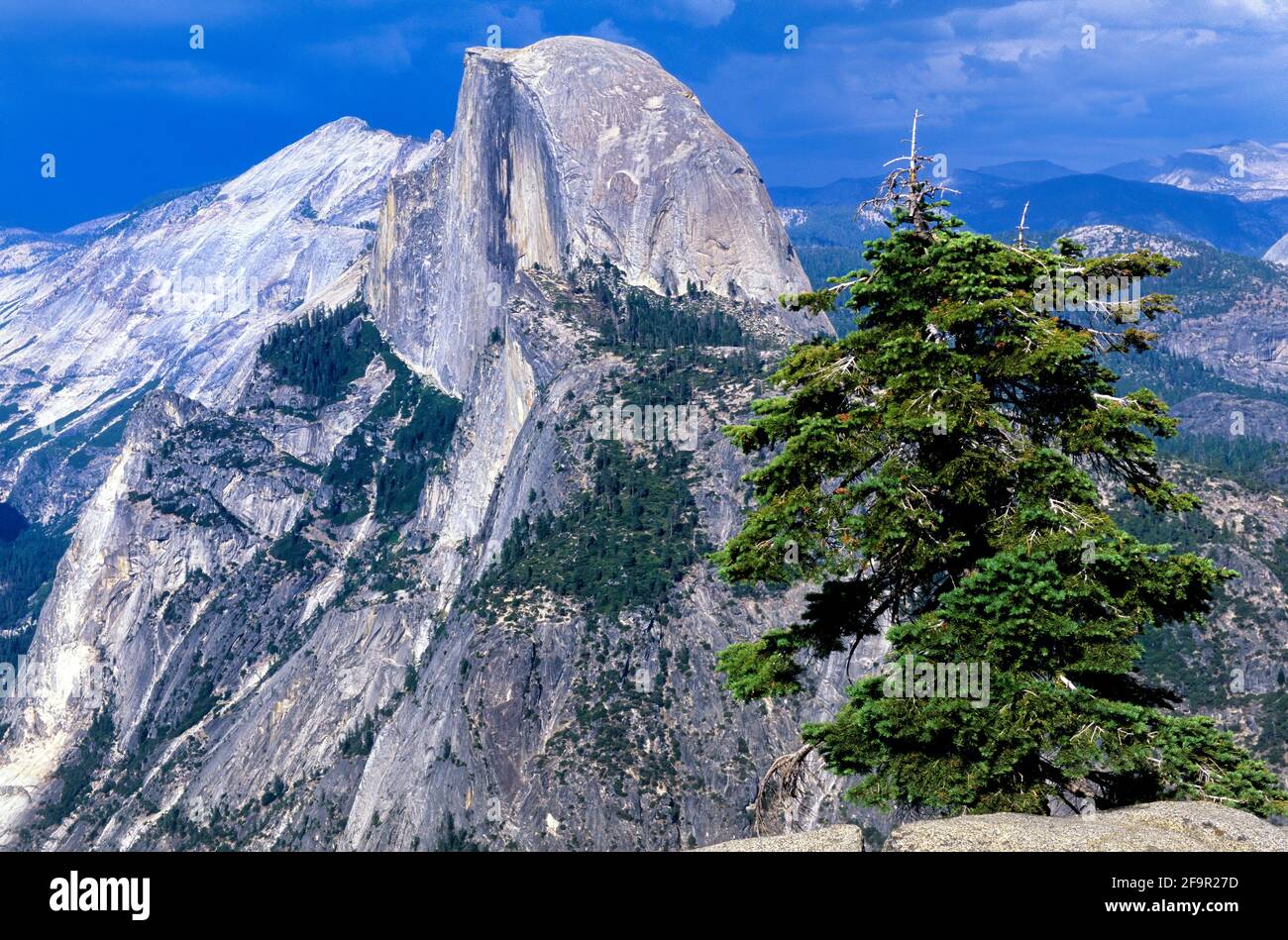 Aussichtspunkt auf Half Dome im Yosemite National Park. Kalifornien, USA Stockfoto