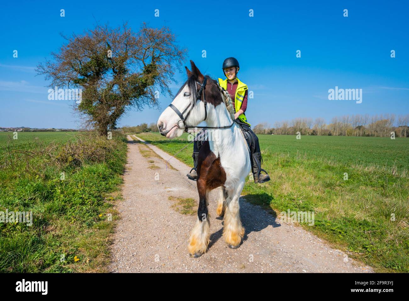 Junge Frau, die an einem sonnigen Frühlingstag in West Sussex, England, ein Pferd auf einem Landweg durch die Landschaft reitet. Reiter. Stockfoto