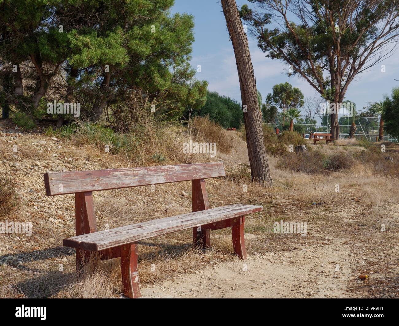 Leere Holzbank am Ufer eines Salzsees im Herbst in Larnaca, Zypern. Ein einsamer, ruhiger Ort ohne Touristen an einem warmen, sonnigen Tag. Stockfoto