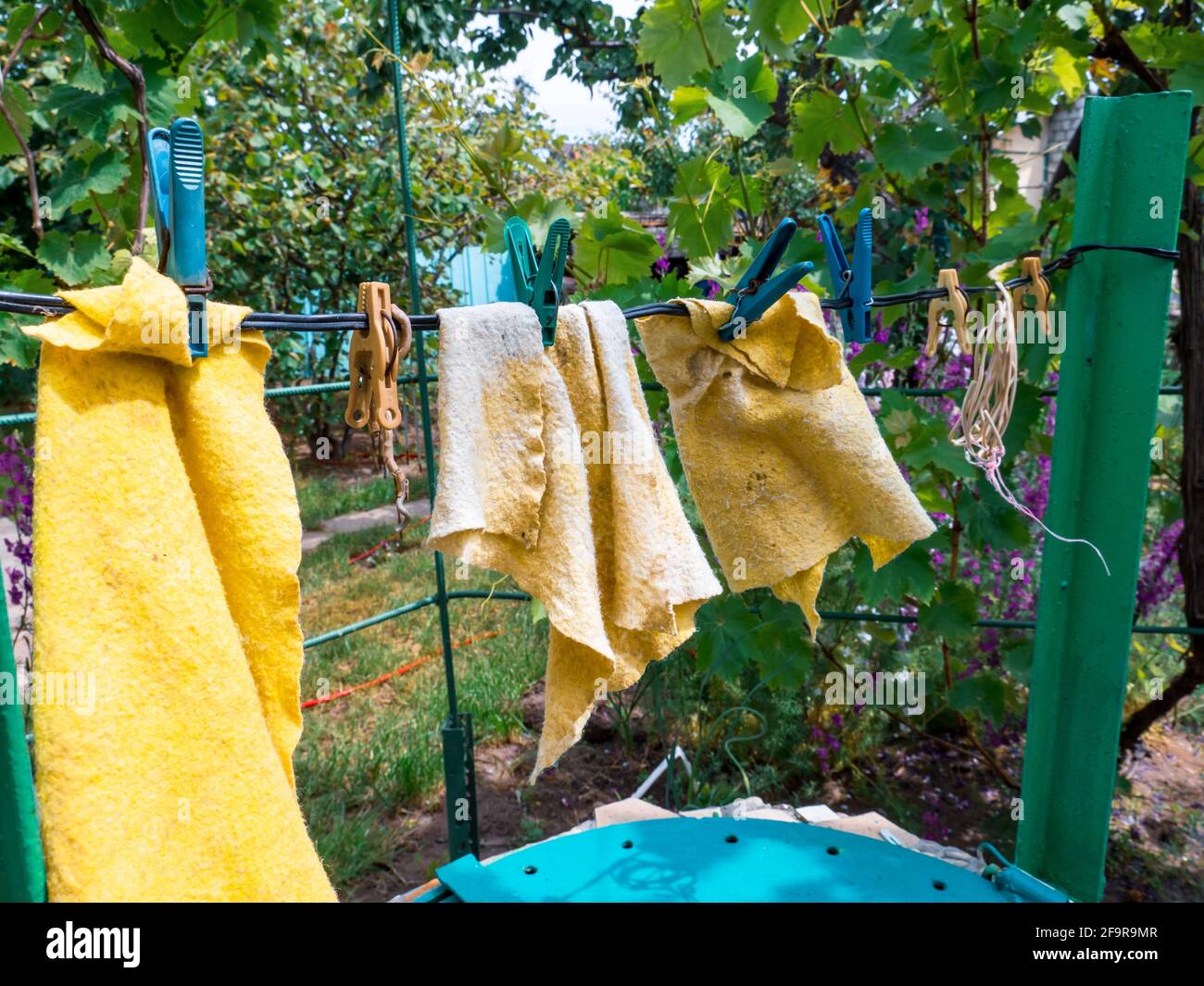 Gelbe nasse Putzlappen trocknen, während sie an einem Draht hängen, der mit Kleidernadeln im Freien auf dem Hof befestigt ist. Ländlicher Hintergrund, einfaches Leben zu Hause Konzept. Stockfoto