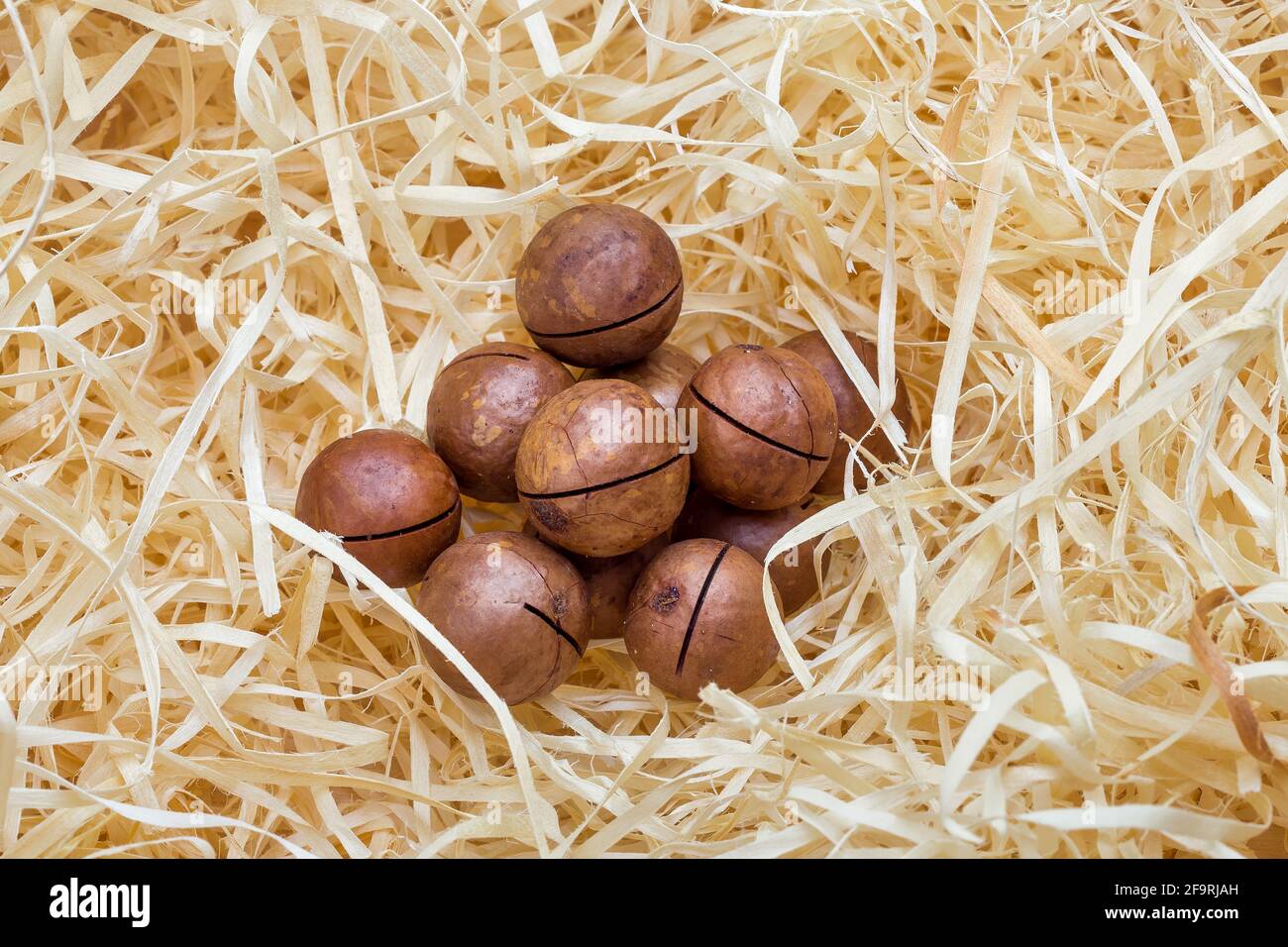 Haufen von Macadamianüssen in Sägespäne auf einem Markt für die Erhaltung von nahrhaften Proteinen in einer Walnussschale, niemand. Stockfoto