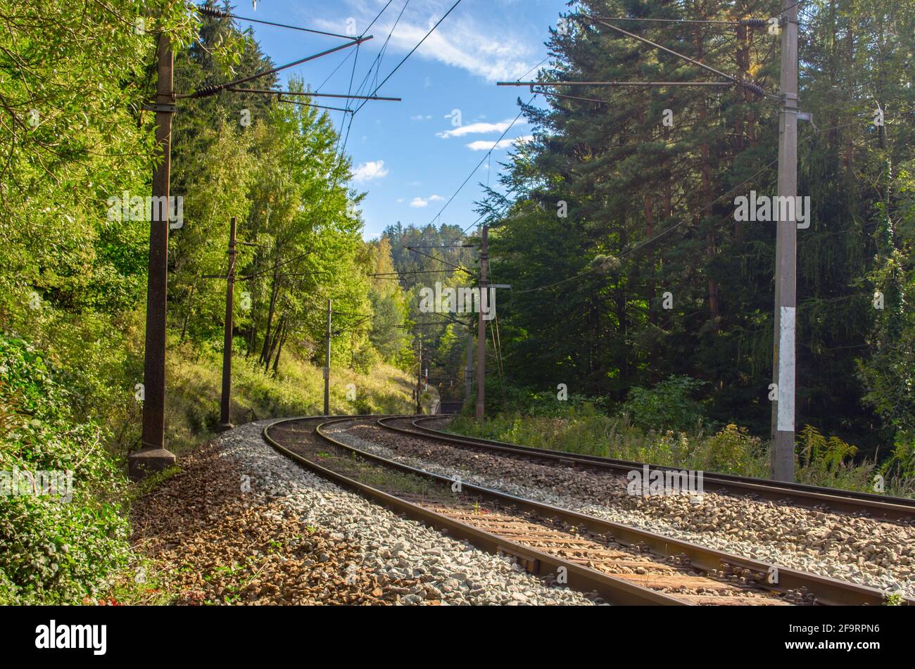 Detail der semmeringbahn, die durch einen dichten Wald führt österreich Stockfoto