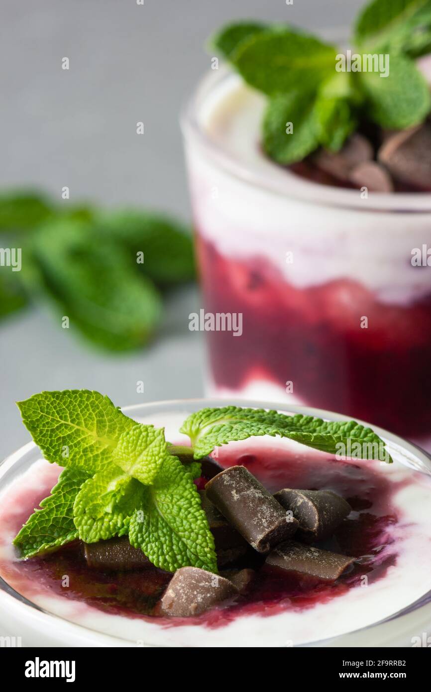 Ein Glas mit hausgemachtem Quark-Dessert garniert mit frischer Minze Und Schokoladenstückchen Stockfoto