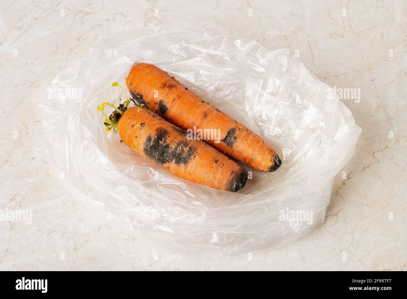 Schwarze Schimmelflecken auf zwei rohen Karotten in einer Plastiktüte auf einem Küchentisch. Schimmelpilz auf verfaulten Karotten. Verdorbenes Gemüse Essen im Kühlschrank vergessen Stockfoto