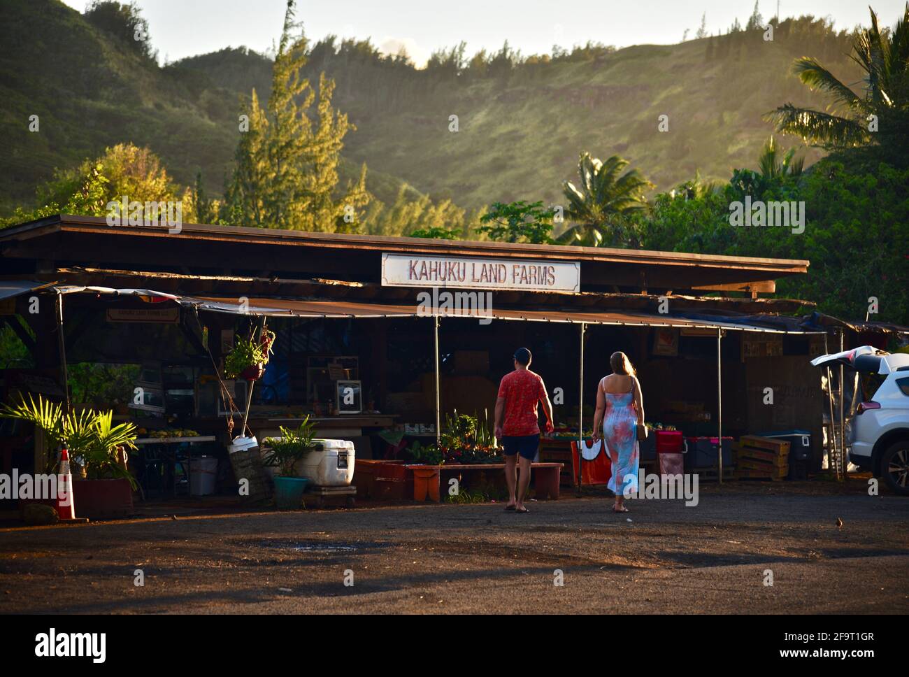 Junge Paare, die während des Sonnenuntergangs am Bauernmarkt am Straßenrand einkaufen, stehen auf den Kahuku Land Farms, North Shore of Oahu, in der Nähe des Turtle Bay Resort, Hawaii, USA Stockfoto