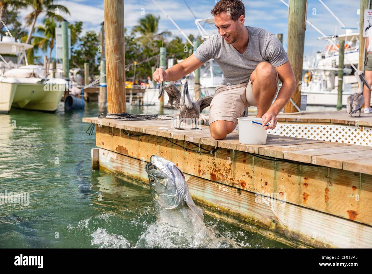 Florida Tourismus Sommer Urlaub Attraktion Tourist Mann mit Spaß Fütterung Tarpon Fisch in den Schlüsseln, USA Reise Lebensstil Stockfoto