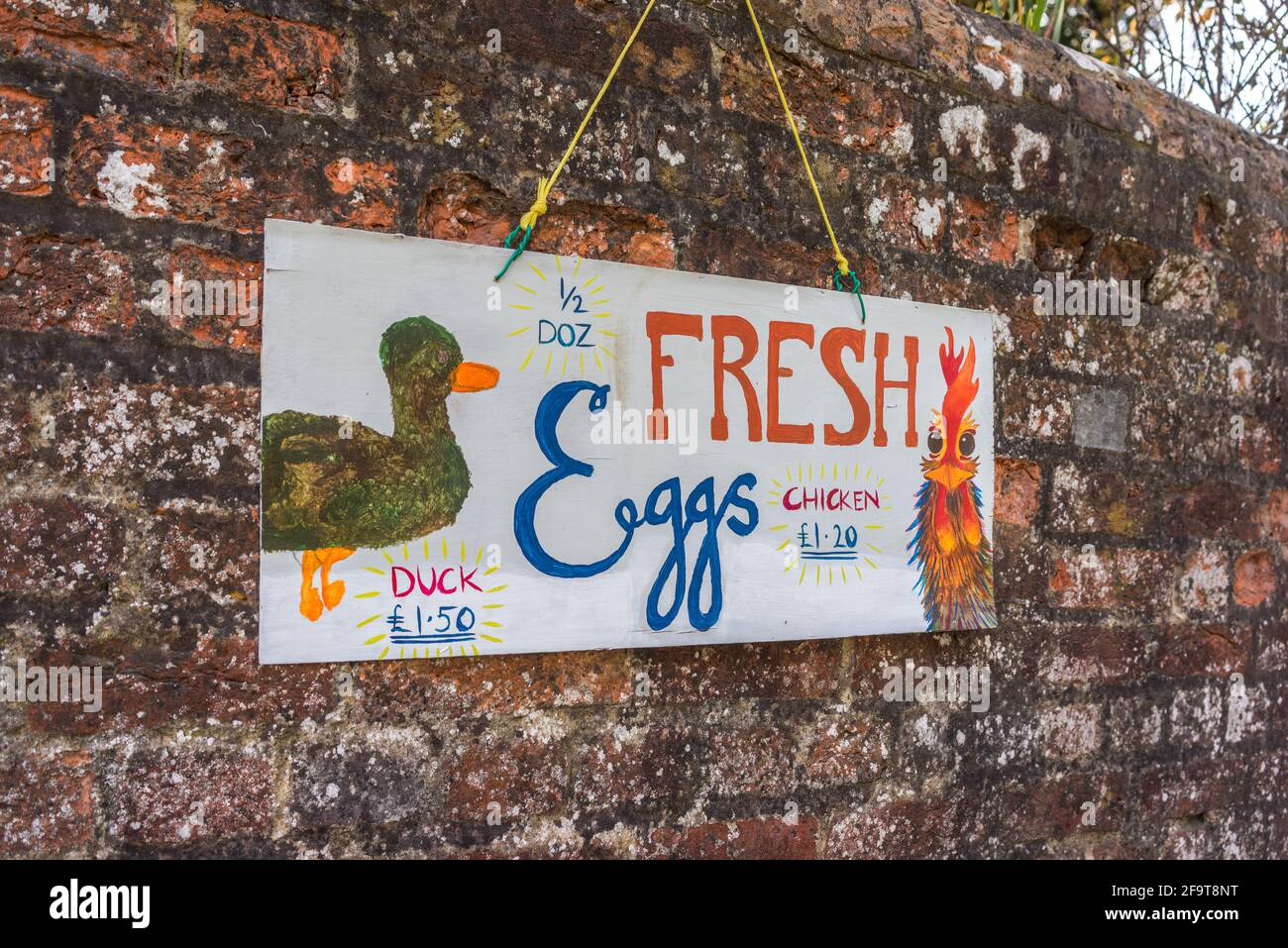 Ein Schild für frische Hühner- und Enteneier vor einer ländlichen Farm in England, Großbritannien Stockfoto