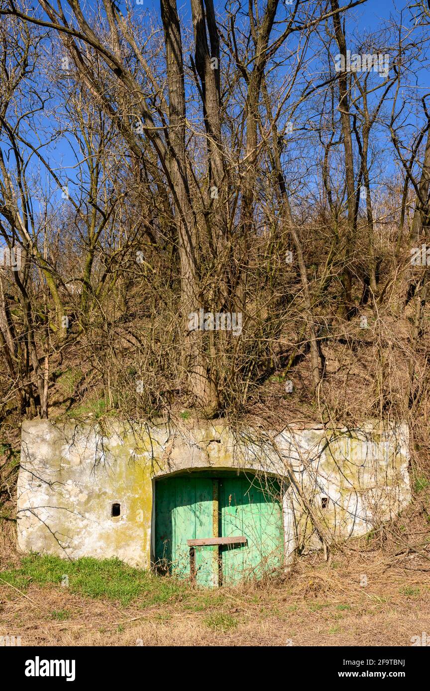 Der Eingang eines typischen Weinkellers im Niederösterreichischen Weinviertel. Stockfoto
