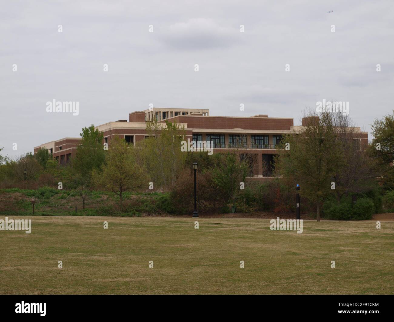 BAHNHOF SMU Mockingbird Stockfoto