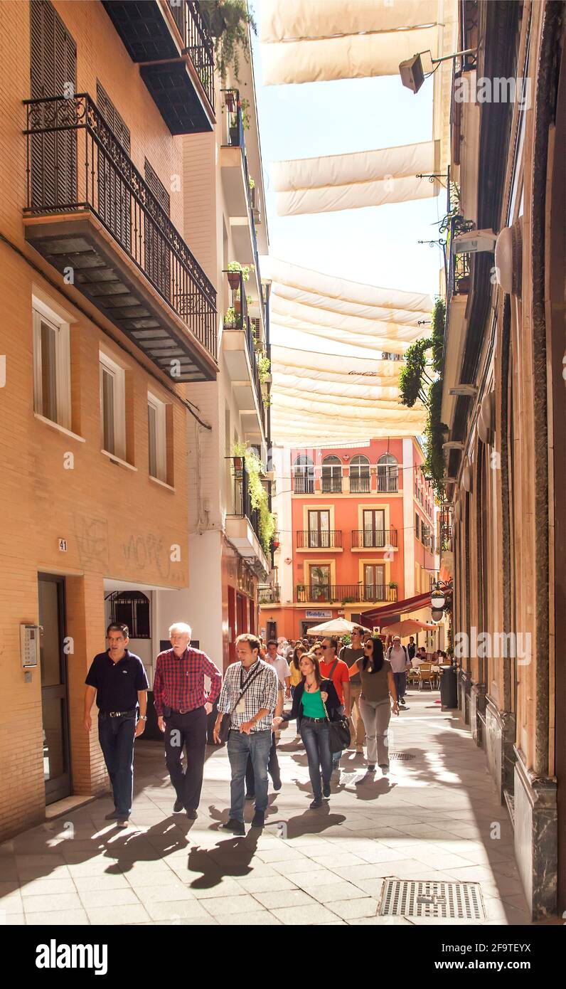 Sonnenschirmen auf der Straße in Sevilla, Spanien Stockfoto