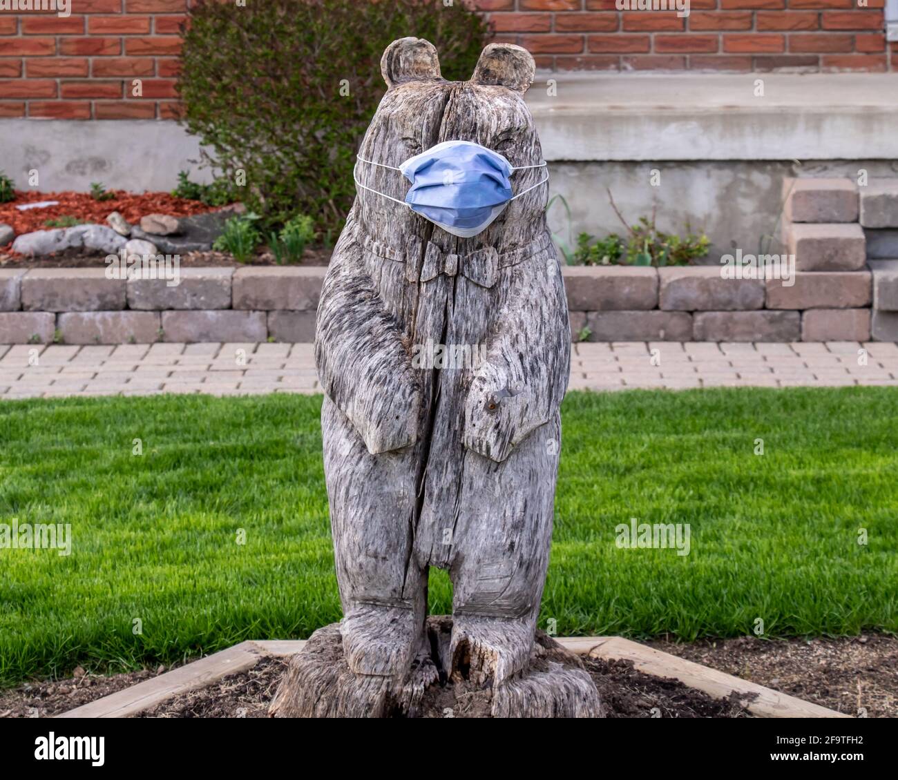 Statue eines Bären mit einer chirurgischen Maske während der COVID-19-Blockierung der dritten Welle und einer Pandemie in Ontario, Kanada Stockfoto