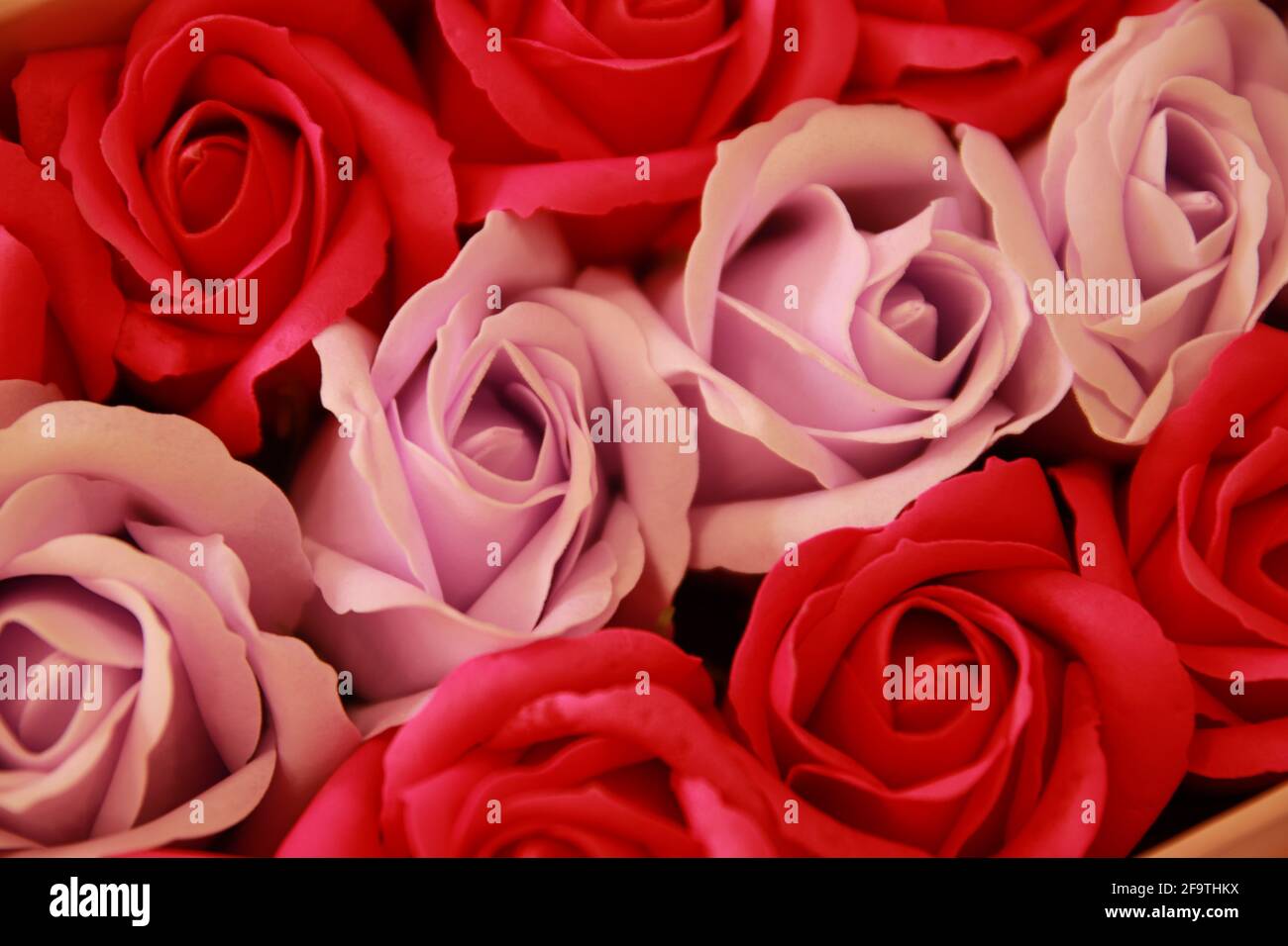 Rote und rosa Rosen Hintergrund. Künstliche Blumen. Stockfoto