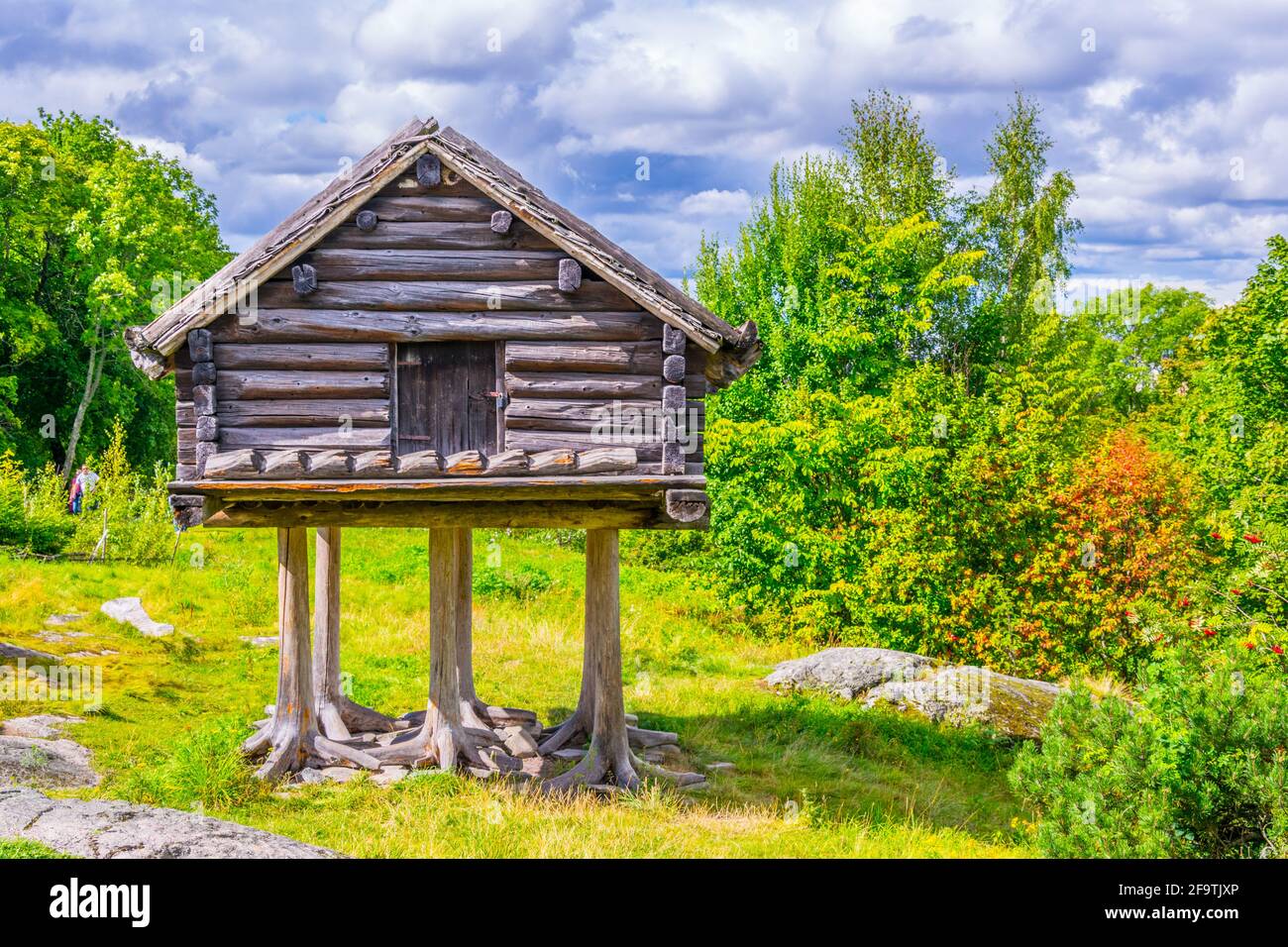 Bär, braun, Junge, grizzly, verspielt, Spielen, skansen, stockholm, Zoo, Tier, Verhalten, gefangen, Gefangenschaft, djurgarden Insel, Säugetier, Fleischfresser, Auto Stockfoto