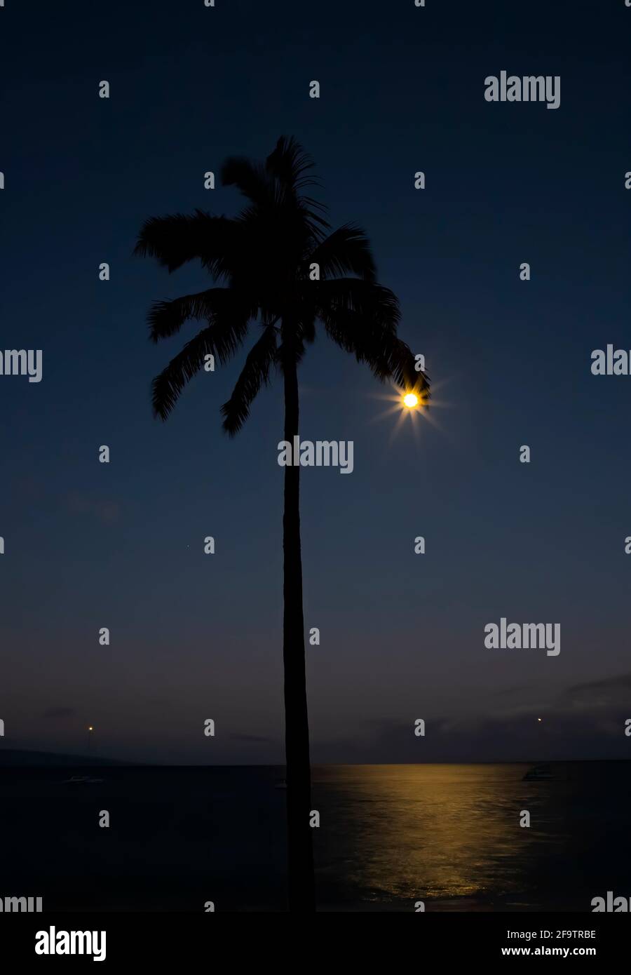 Der Vollmond scheint wie ein Ohrring, der von der Palmwedel in der Silhouette über den Pazifischen Ozean tropft und den dunklen Himmel in der Dämmerung überstrahlt. Stockfoto