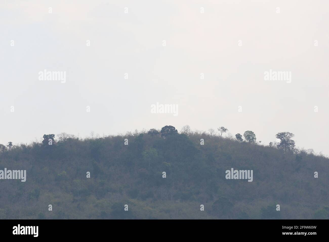 Berg mit Bäumen auf grauem Himmel Hintergrund für Design in Ihrer Arbeit Natur Konzept. Stockfoto