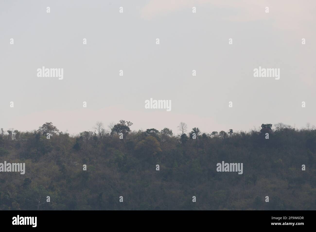 Berg mit Bäumen auf grauem Himmel Hintergrund für Design in Ihrer Arbeit Natur Konzept. Stockfoto