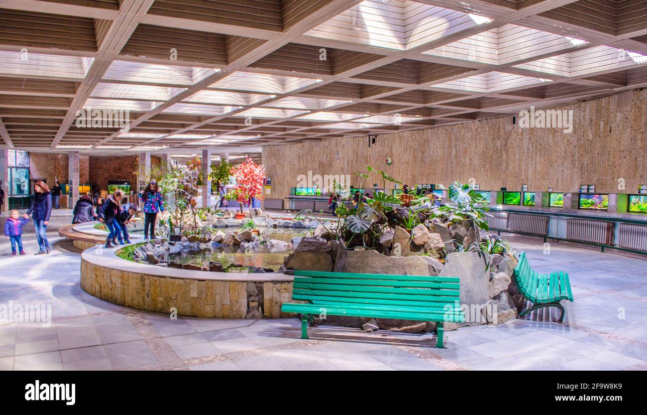 SOFIA, BULGARIEN, 26. MÄRZ 2015: Im Zoo von sofia schlendern Menschen durch den Pavillon von Reptilien und Fischen. Stockfoto