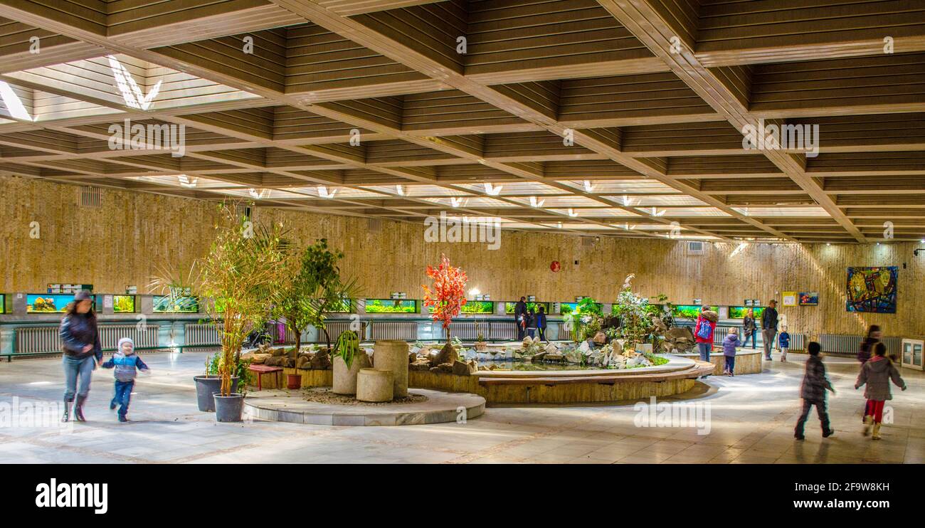 SOFIA, BULGARIEN, 26. MÄRZ 2015: Im Zoo von sofia schlendern Menschen durch den Pavillon von Reptilien und Fischen. Stockfoto