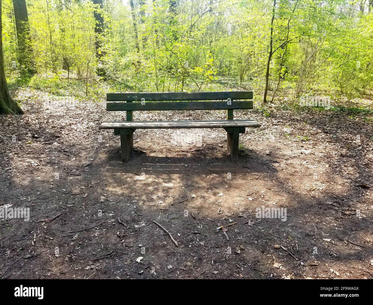 Eine leere Holzbank im Wald Stockfotografie - Alamy