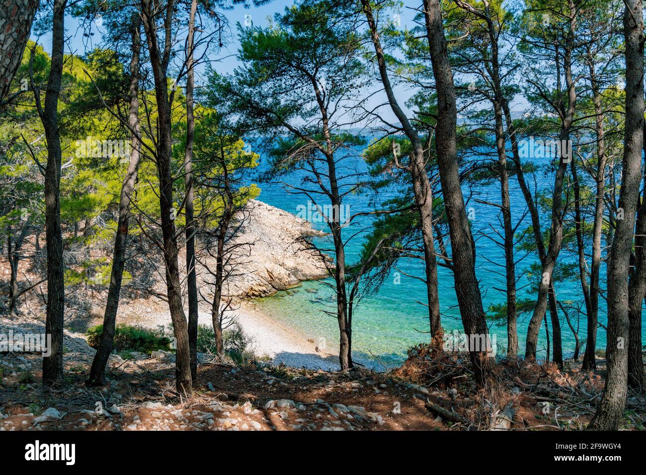 Wunderschöner abgelegener Strand in der Bucht. Türkisfarbenes Meerwasser. Stockfoto