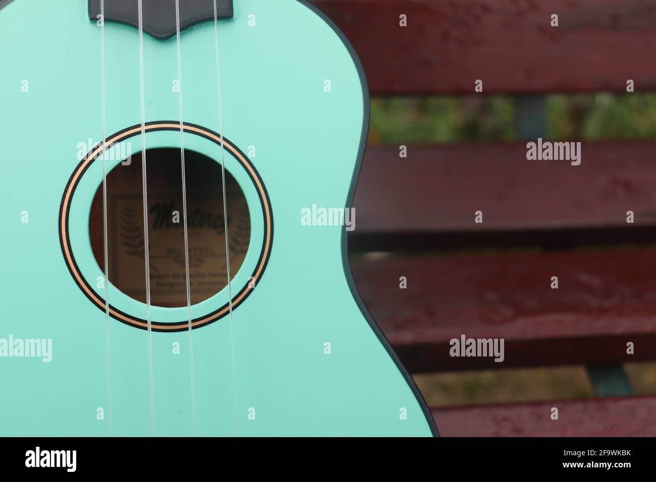 teal Ukulele Stockfoto