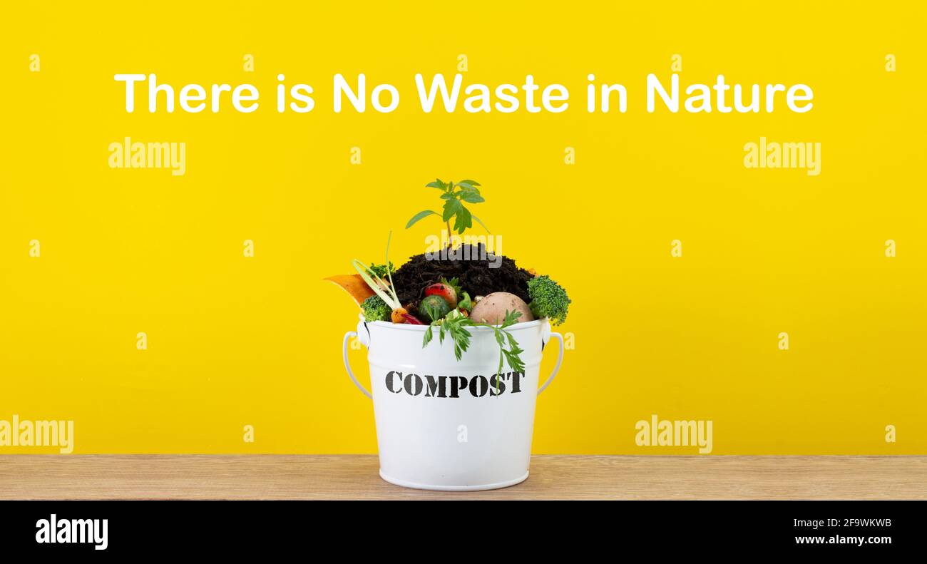 Küchenkomposteimer mit Küchenabfällen mit Pflanze wächst oben, keine Abfälle in der Natur Text, recyceln Lebensmittelabfälle durch Kompostierung und Anbau Stockfoto