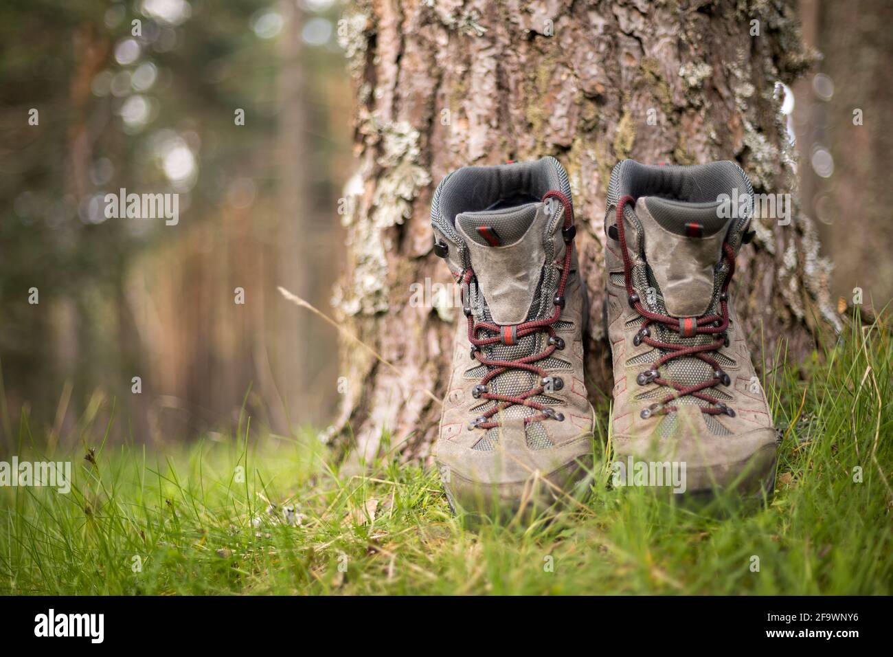 Wanderschuhe im Wald. Ruhen Sie sich nach einem langen Trekking-Spaziergang aus. Gesunder Lebensstil in der Natur. Stockfoto