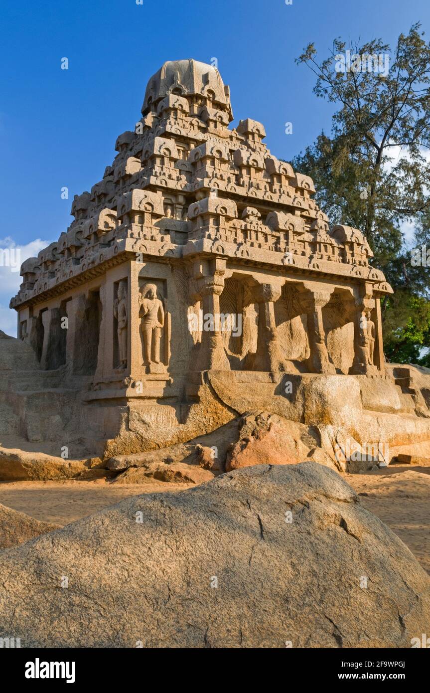 Fünf Rathas Dharmaraja Ratha Mahabalipuram Tamil Nadu Indien Stockfoto