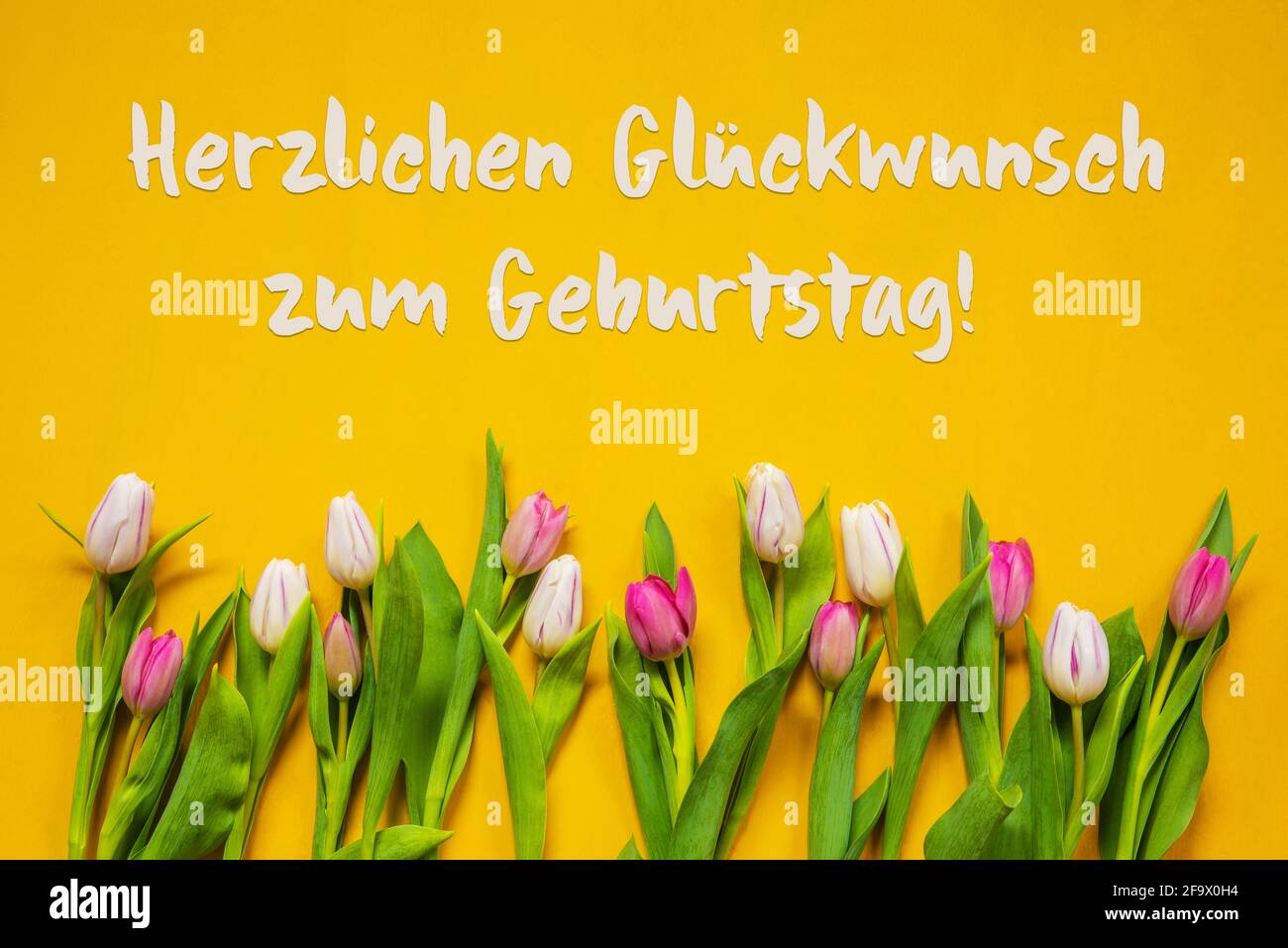 Deutscher Text Herzlichen Glückwunsch zum Geburtstag bedeutet Alles