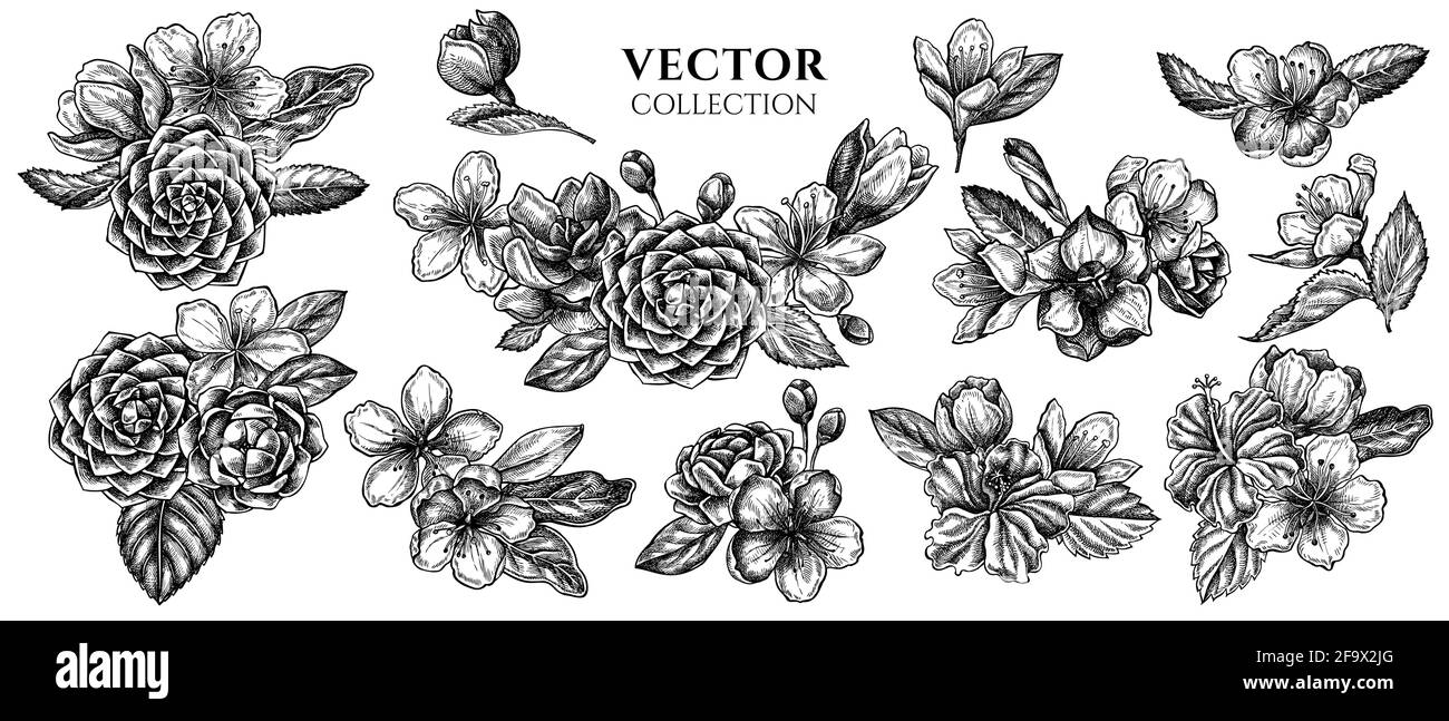 Blumenstrauß aus schwarzem und weißem Hibiskus, Pflaumenblüten, Pfirsichblüten, Sakura-Blüten, Magnolienblüten, camellia japonica Stock Vektor