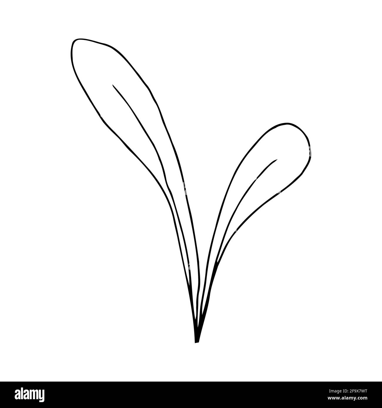 vektor-Zweig mit Blättern schwarz und weiß. Minimalistische botanische Illustration, Handzeichnung Stockfoto